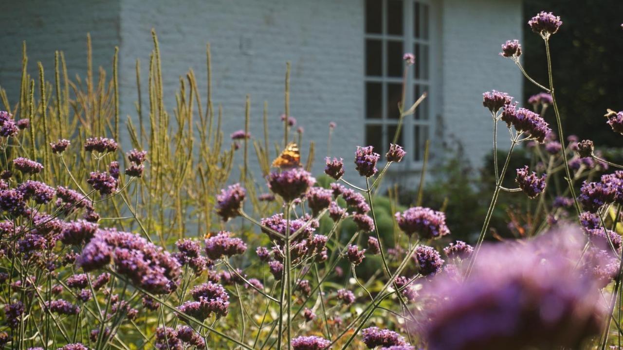 Het Witte Kasteel Villa Loon op Zand Luaran gambar